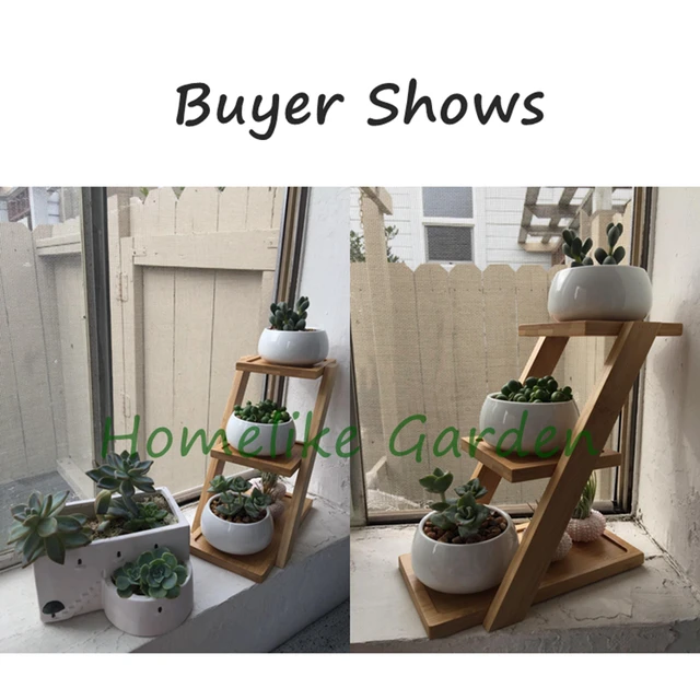 1 Set Modern Minimalist White Ceramic Flowerpot Succulent Plant Pot 3 Bonsai Planters with 3-Tier Bamboo Shelf Home Garden Decor