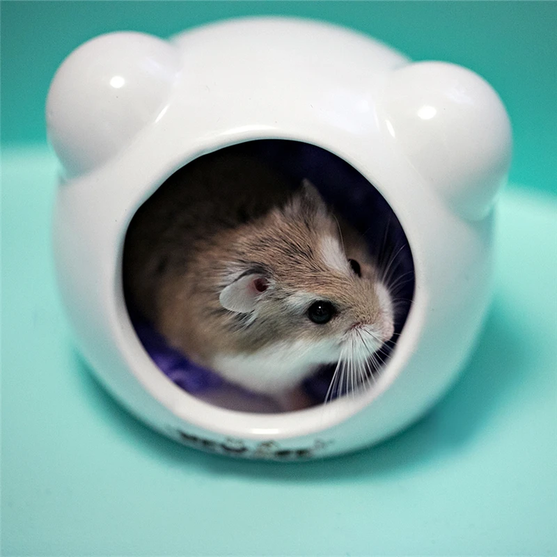 hamster cage picture