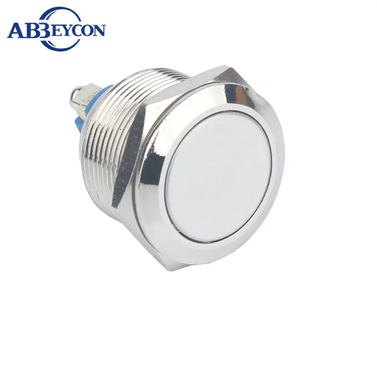 

19mm Diameter Momentary Normally Open 1NO Push Button Switch Screw Terminal Waterproof Switch Metal Shell Flat Head 220V 3A