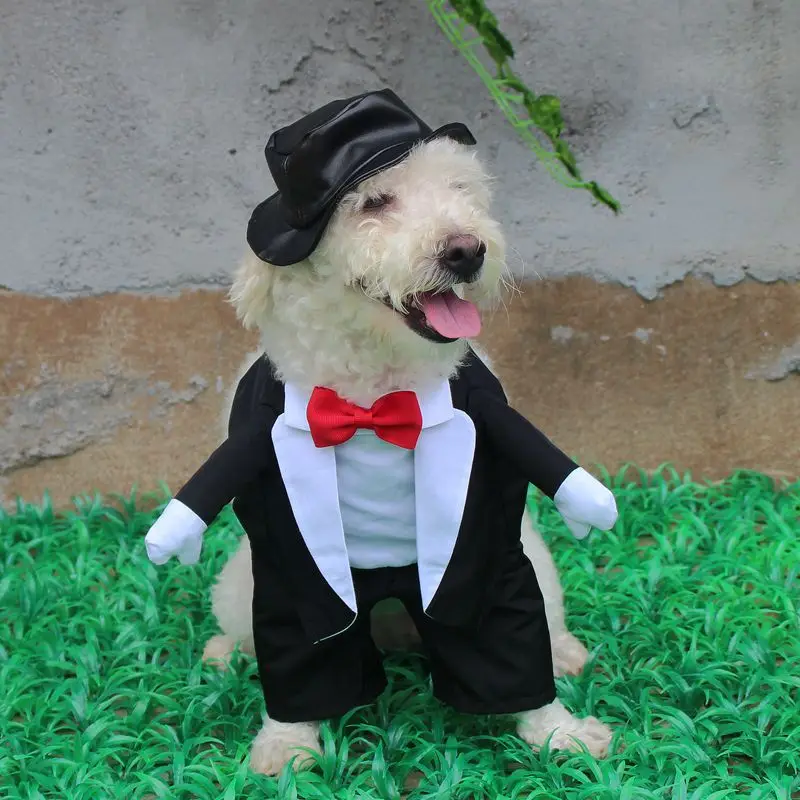 [Магазин MPK] свадебное платье для собак, красивое собачье свадебное платье, Свадебный костюм для домашних животных - Цвет: Черный