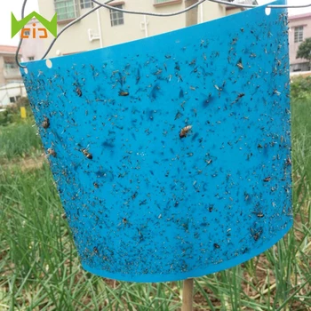 

WCIC Dual-sided Glue Stickers Catching Aphid Insects Killer Pest Control Whitefly Strong Flies Traps Bugs Sticky Board