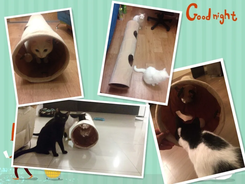 HTB1mdWrLpXXXXXCapXXq6xXFXXXW