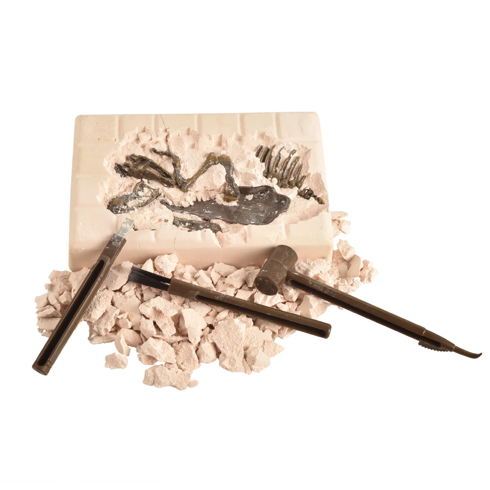 Dinosaur Science Kit Dig Up Dino Fossils and Assemble a T-Rex Skeleton, Mammoth,Triceratops Dinosaur Science Kit Dig Up Dino Fossils and Assemble a T-Rex Skeleton, Mammoth,Triceratops