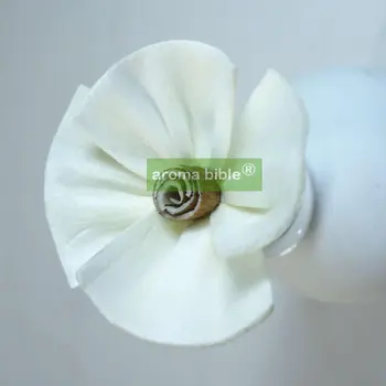 

1000 pcs /lot Sola Flowers Natural White Fragrance Flower Diffusers With Rope For Frangrance Diffuser Wholesale Free Shipping