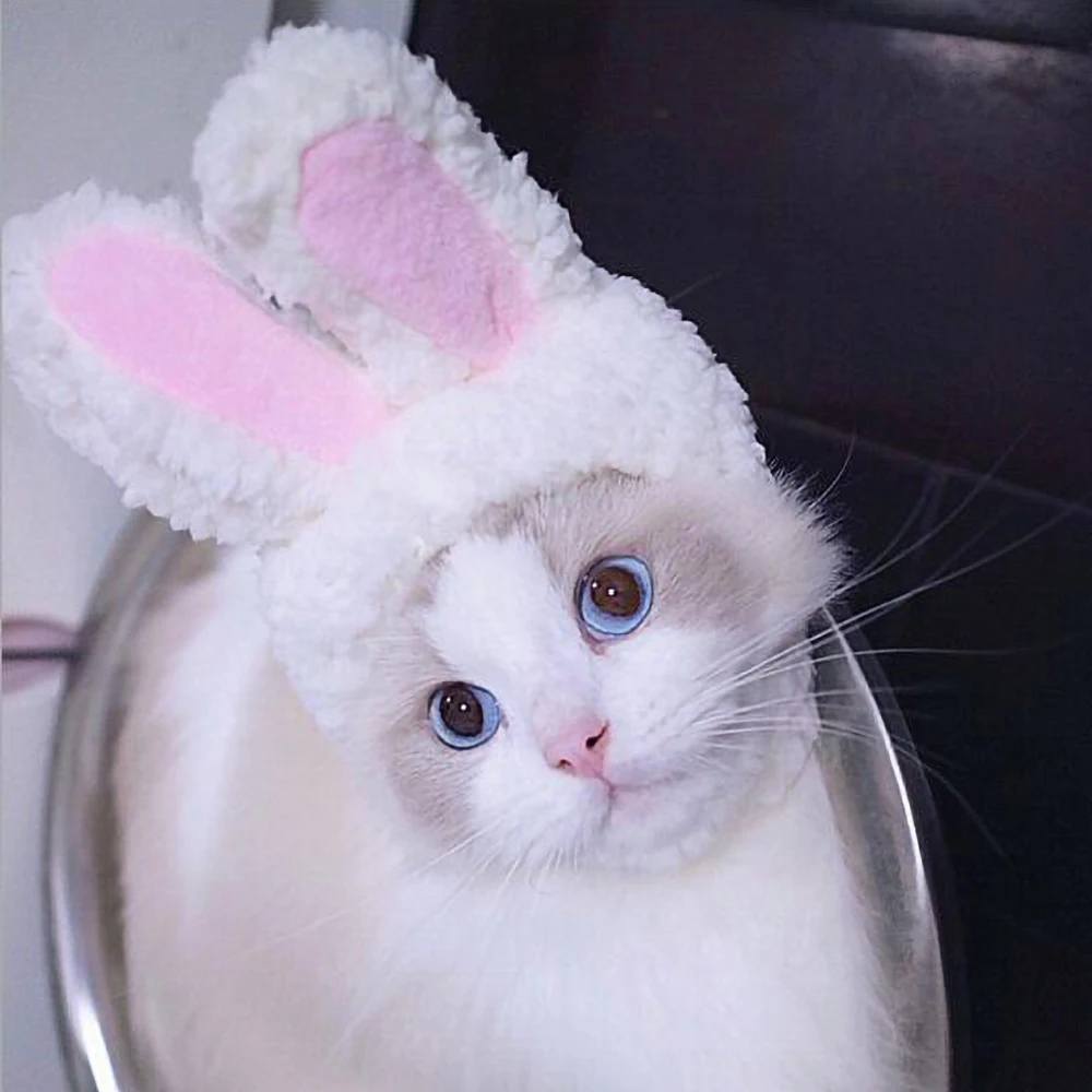 Funny Cute Pet Costume Cosplay Rabbit Hat Cap For Cat Halloween Xmas New Year Clothes Fancy Dress Small Dogs Accessories