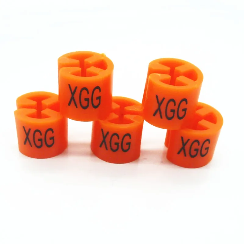HS-10 XGG
