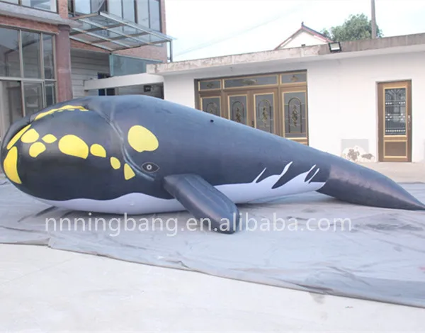 inflatable shark (3)