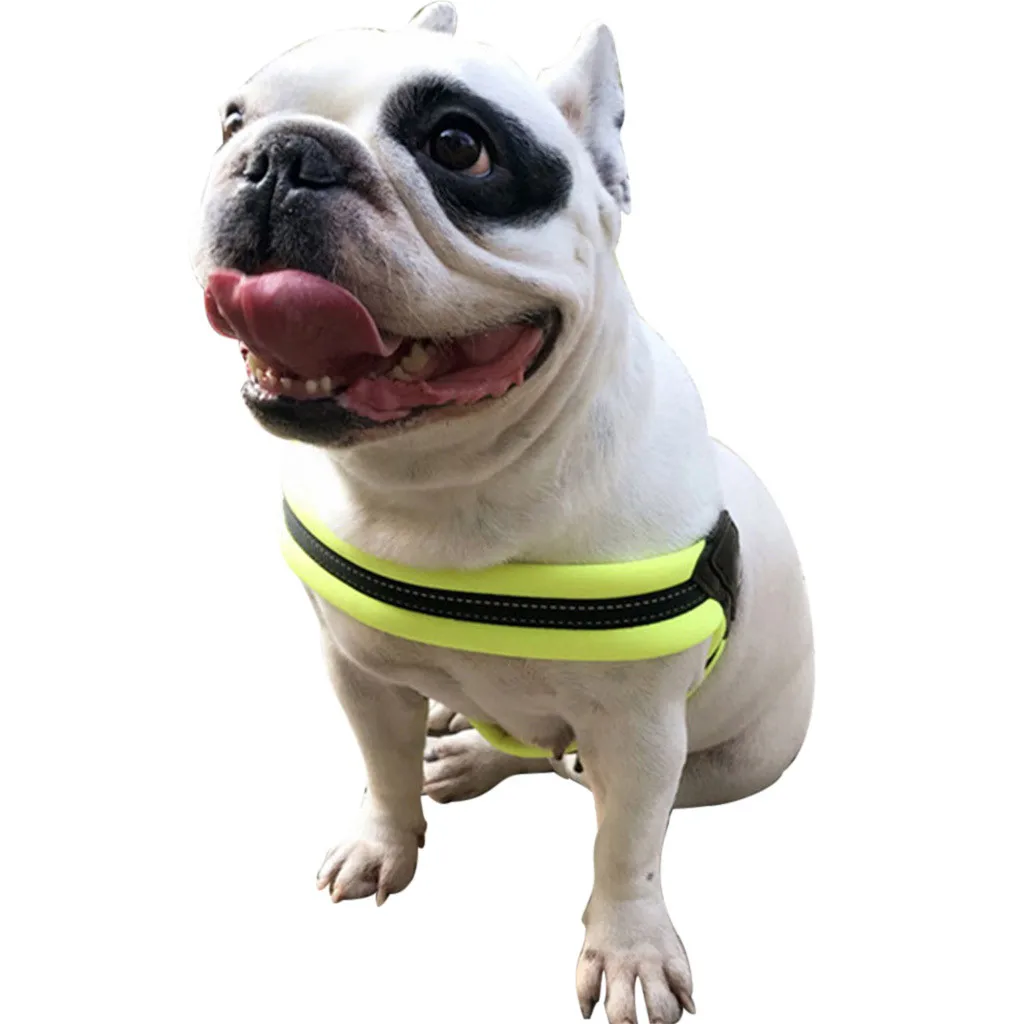 Pet Ночная безопасность светоотражающий Тяговый канат поводок с грудным обхватом набор Регулируемый комфортный жилет поводок для собак Мода L0516 - Цвет: GN