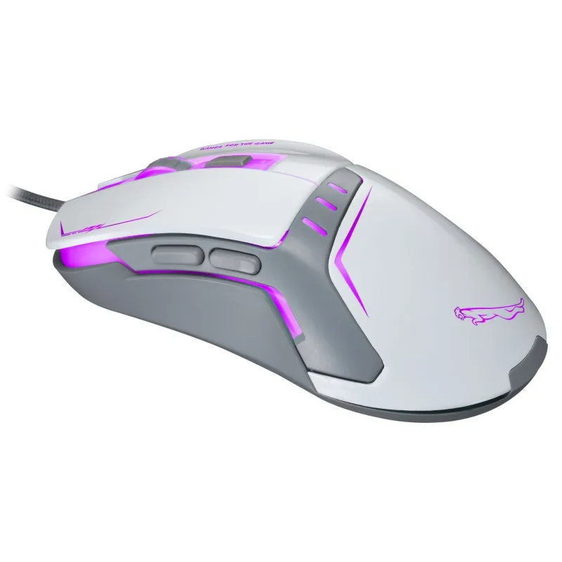 mouse gamer macro