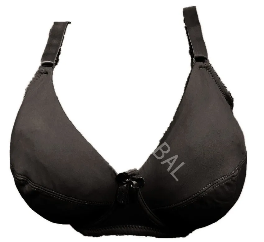 b1