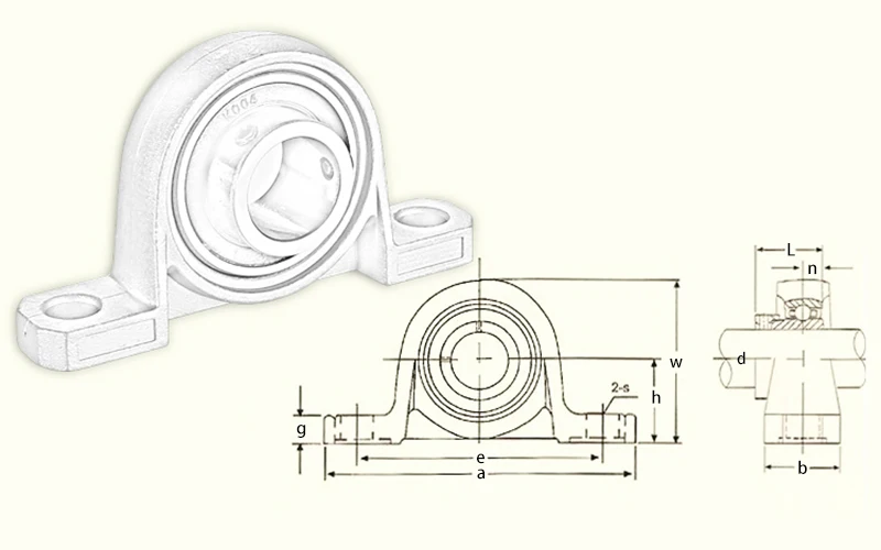 P08-size
