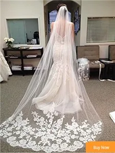 -Hot-Sale-Wedding-Veil-Cathedral-3-Meter-Velos-De-Novia-Wedding-Veil-Birdcage-Appliques-Veil