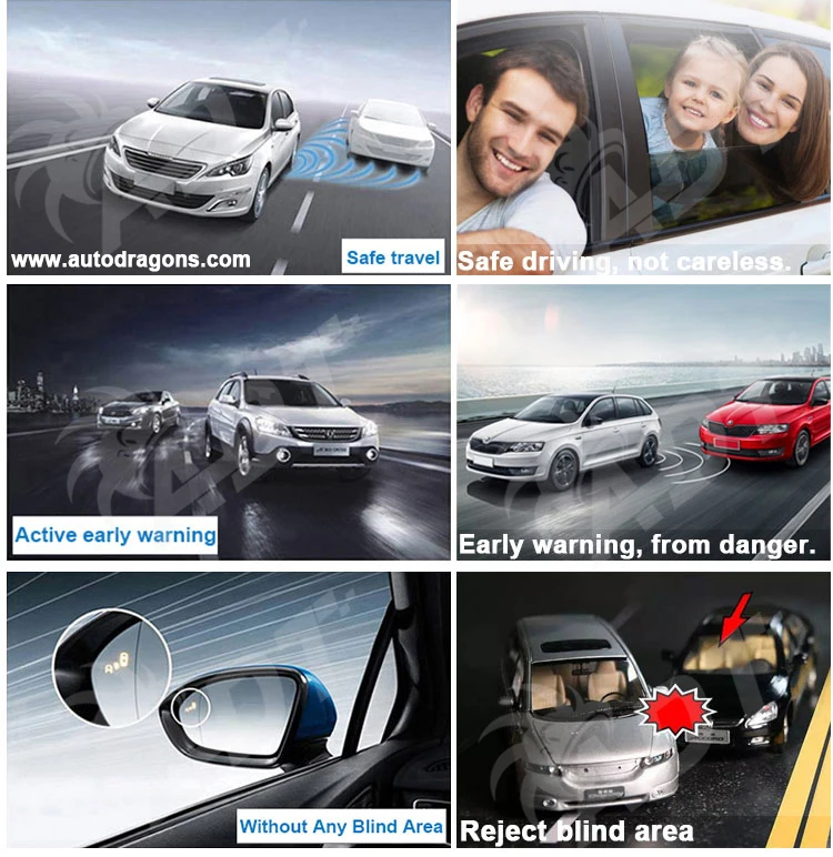 Blind spot monitor system (8)