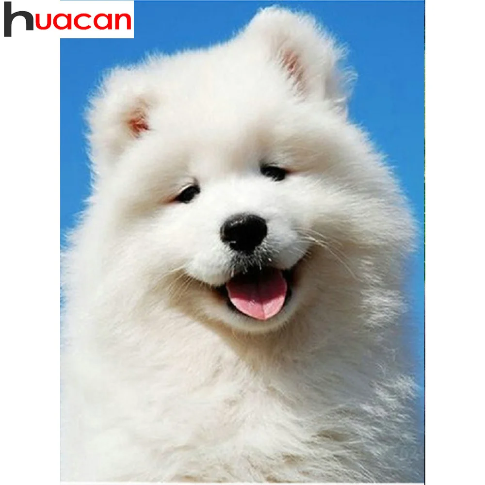 

HUACAN Diamond Painting Dog Cross Stitch Diamond Embroidery Samoyed Diamond Mosaic Picture Of Rhinestone Painting With Diamonds