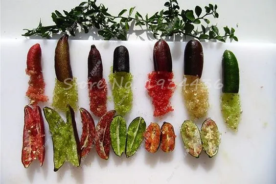 

New 20 PCS / bag Ice Pink Finger Lime ,rare pomegranate organic fruit .,Outdoor Balcony Rare Plants for home garden Planting