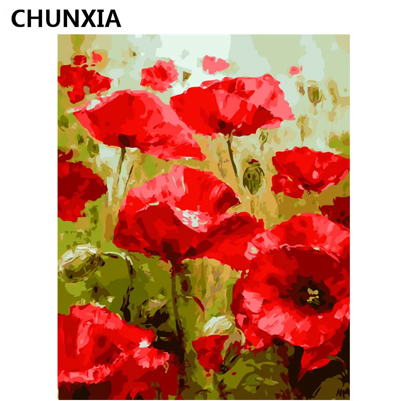 

CHUNXIA Painting By Numbers DIY Framed Oil Paint Pictures Wall Art Home Decor Unique Gift E573