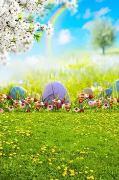 

Safflower Rainbow Backgrounds Vinyl cloth High quality Computer printed children photo backdrop