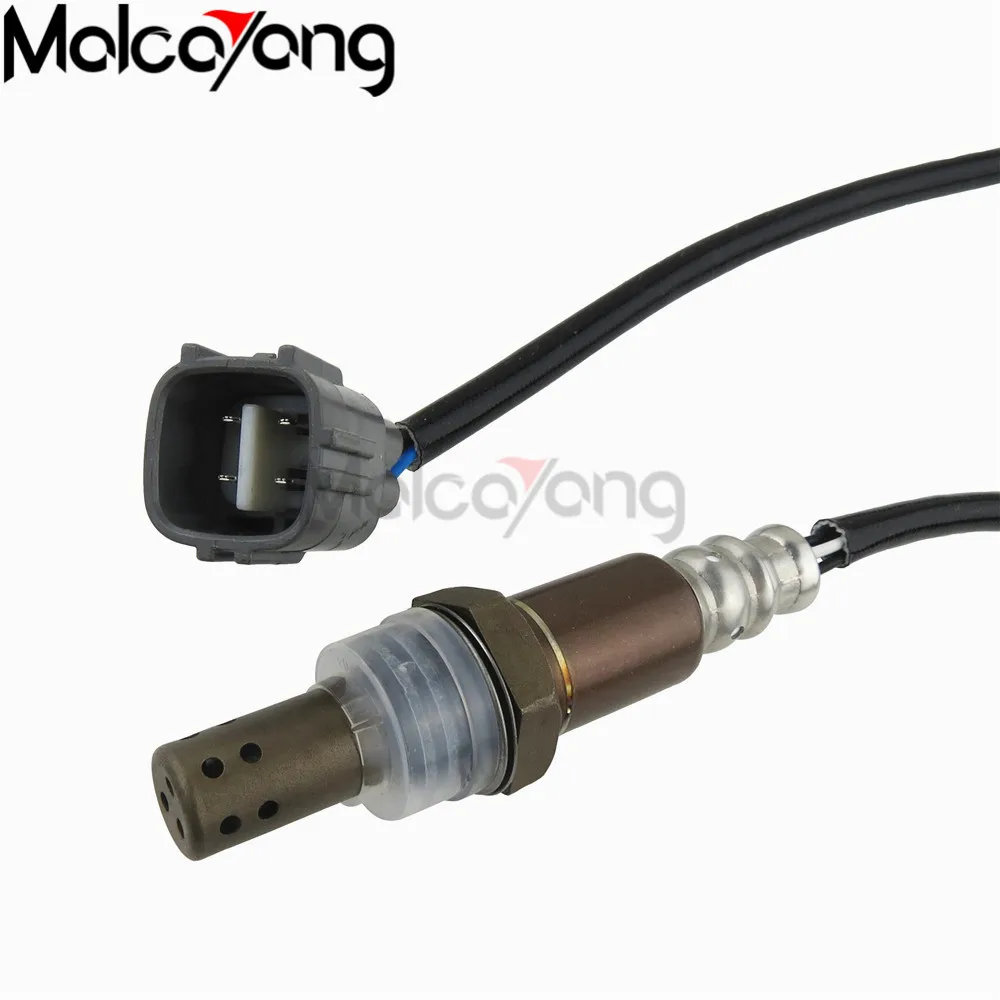 Exhaust Gas Oxygen Sensor