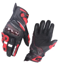 RG4