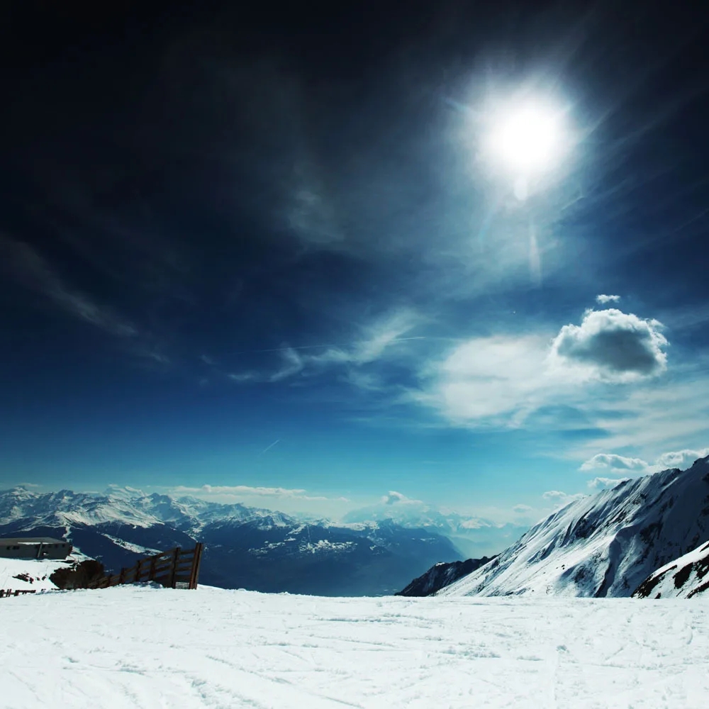 

10x10ft Snow Vinyl Backdrops Props for Photography  Photo Studio  Background TSN-06