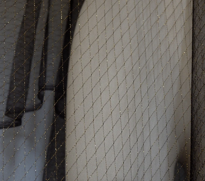 _DSF0270_
