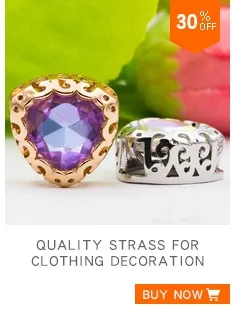 Quality Strass for Clothing Decoration