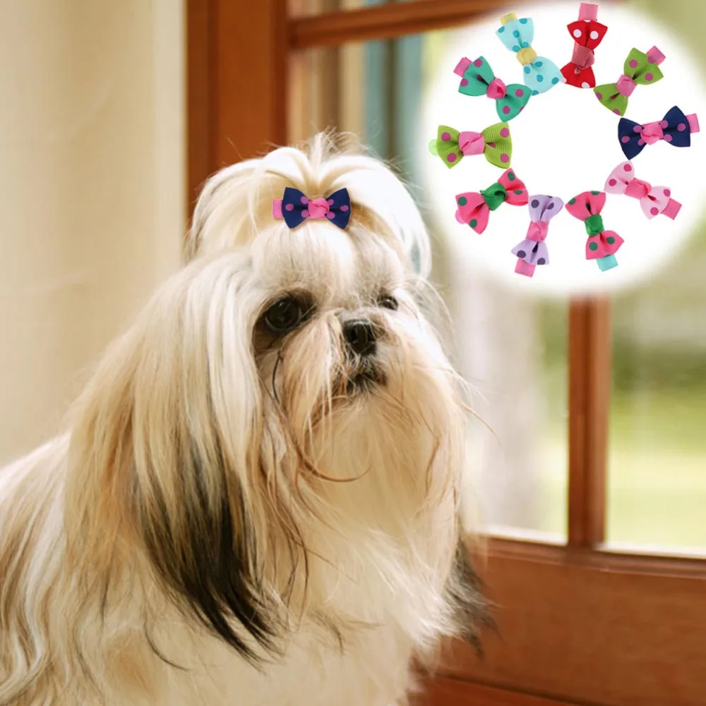 10Pcs Polka Dot Pet Dog Hair Clips Headband Pet Grooming Accessoriesin