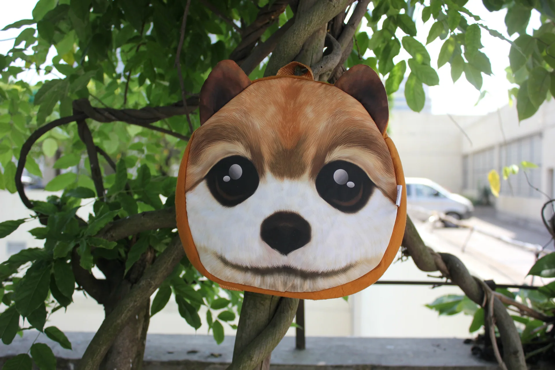 IMG_5728