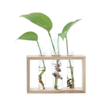 Стеклянная ваза для цветов, бутылка, гидропонный контейнер для спальни, гостиной, домашнего декора с держателем