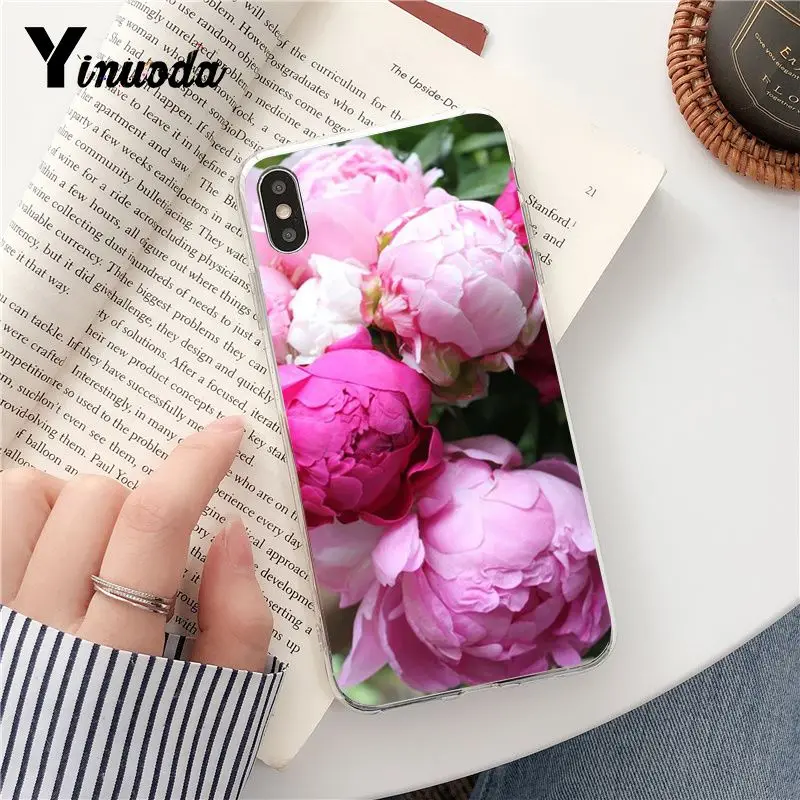 Pink Peonies
