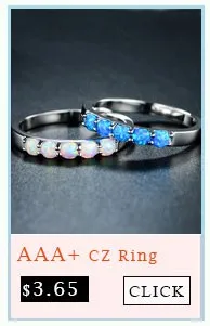 ring1229_06