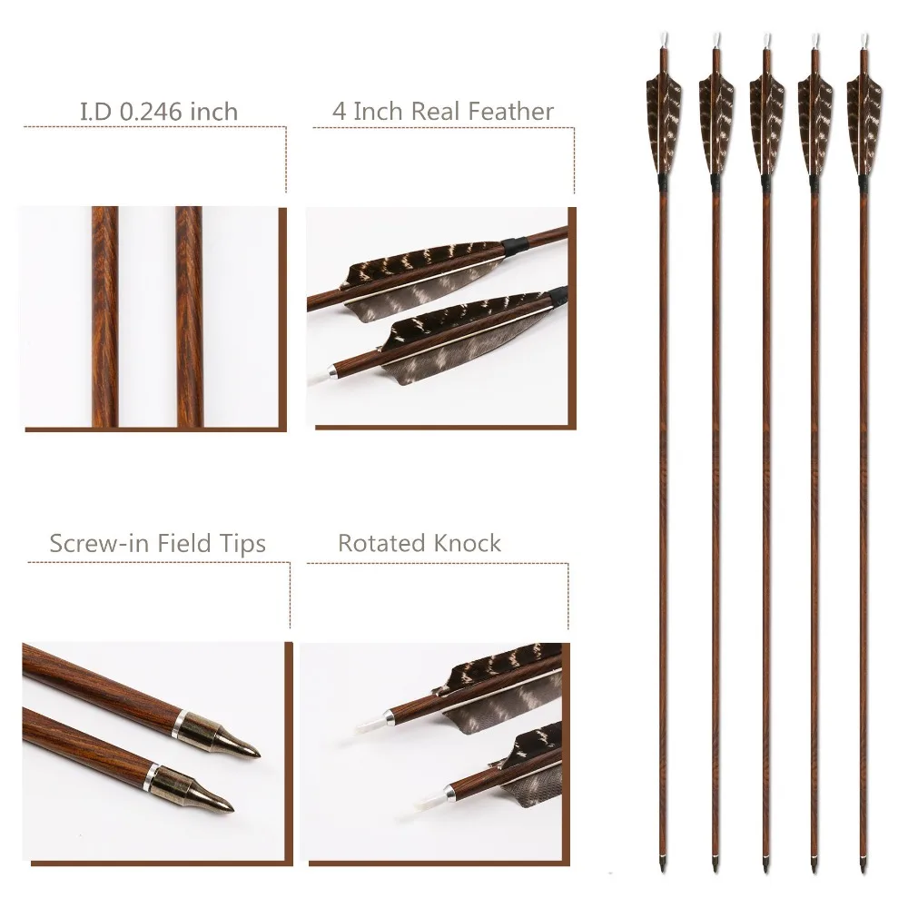 carbon arrows (6)