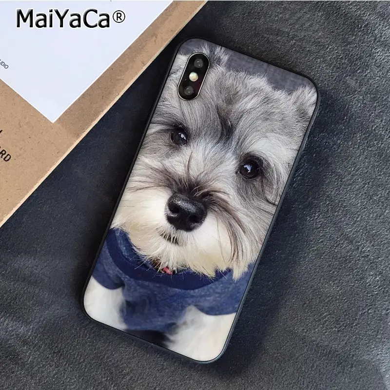 Schnauzer Puppy dog Art