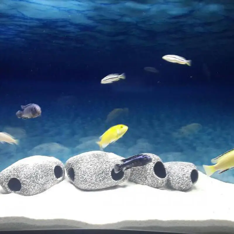 Diamondo African Cichlids Breeder Small Fish Hiding Decorations