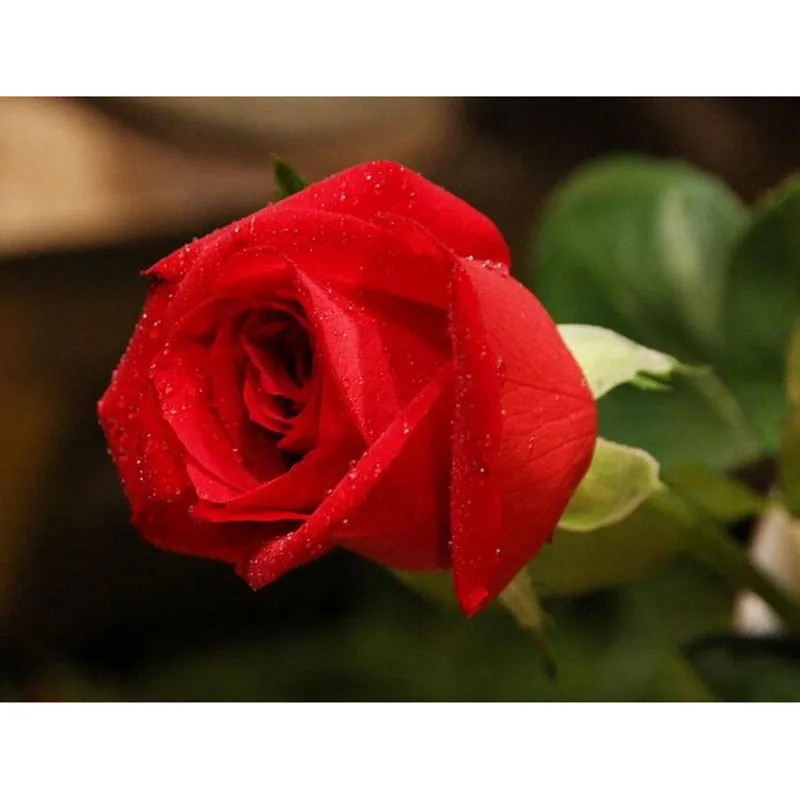 HTB11fHPiLBNTKJjSszeq6Au2VXav