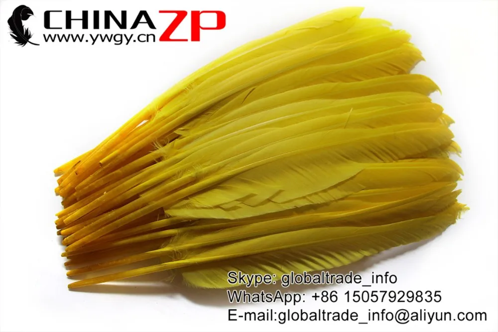 Duck Pointer Primary Wing Feathers-Yellow (2)