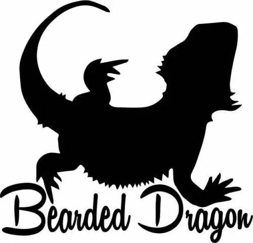 Бородатая наклейка с драконом окно бампер Beardie рептилия ящерица стикер