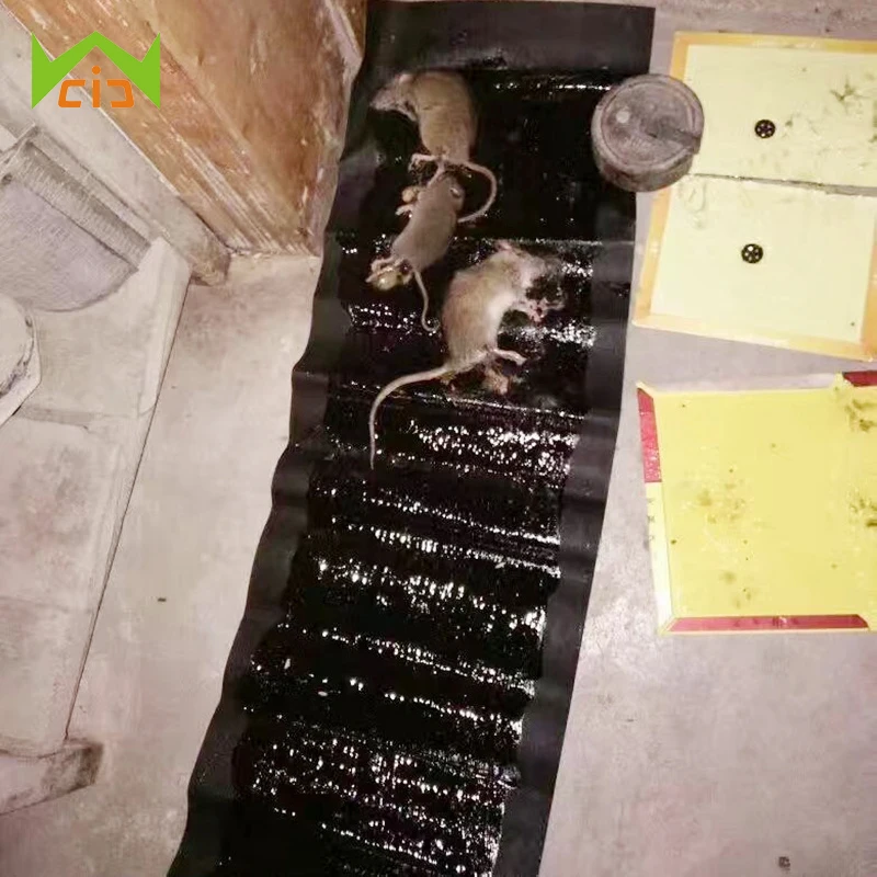 

WCIC Mice Traps Device Non-toxic Mouse Catcher Pest Control Black Rat Trap Waterproof Mousetrap Strong Sticky Rats Glue Board