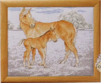 

Fishxx Cross-Stitch Col191-1animal[warmth]Study of horse,,100% accurate pattern,11CT,
