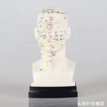 Китайская голова Акупунктура модель голова Акупунктура точка модель он голова человека Акупунктура точка модель голова Меридиан модель