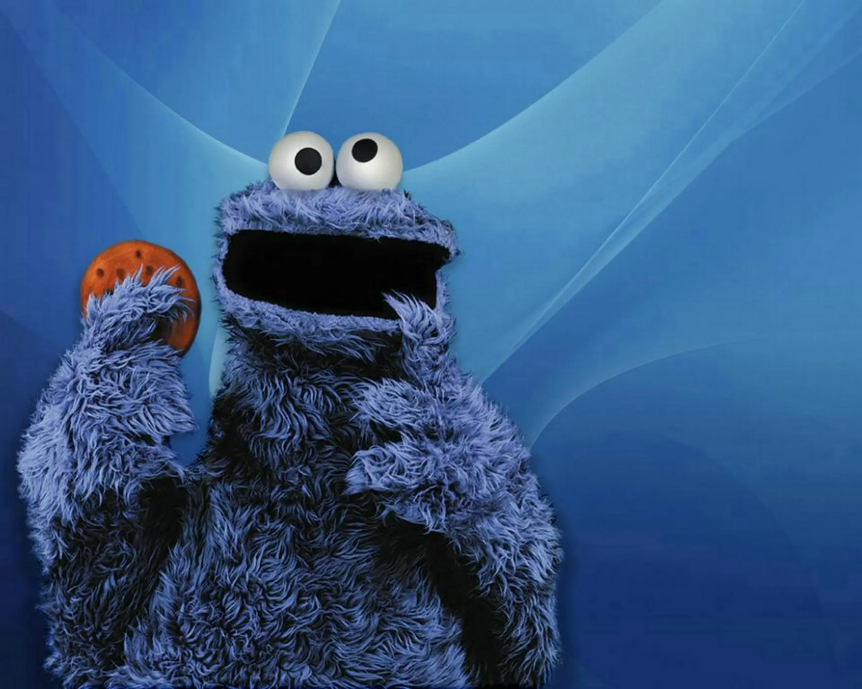 

Sesame Street Cookie Monster photography backgrounds High quality Computer print party backdrops