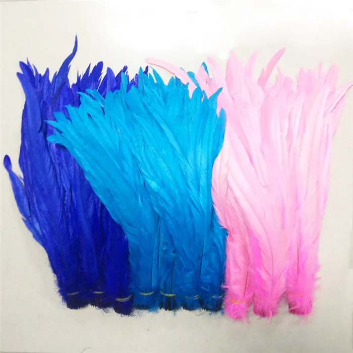 colors rooster tail feathers 5