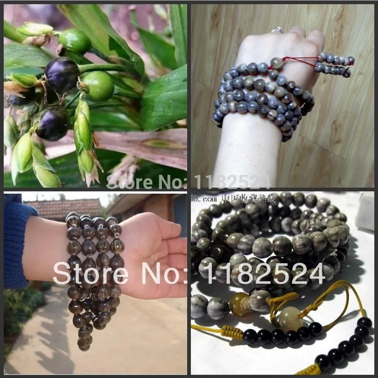 

Job's Tears Coix Lacryma-jobi Grass Beads Semillas Chinese Traditional Medicine Tear Grass Plant Semillas -
