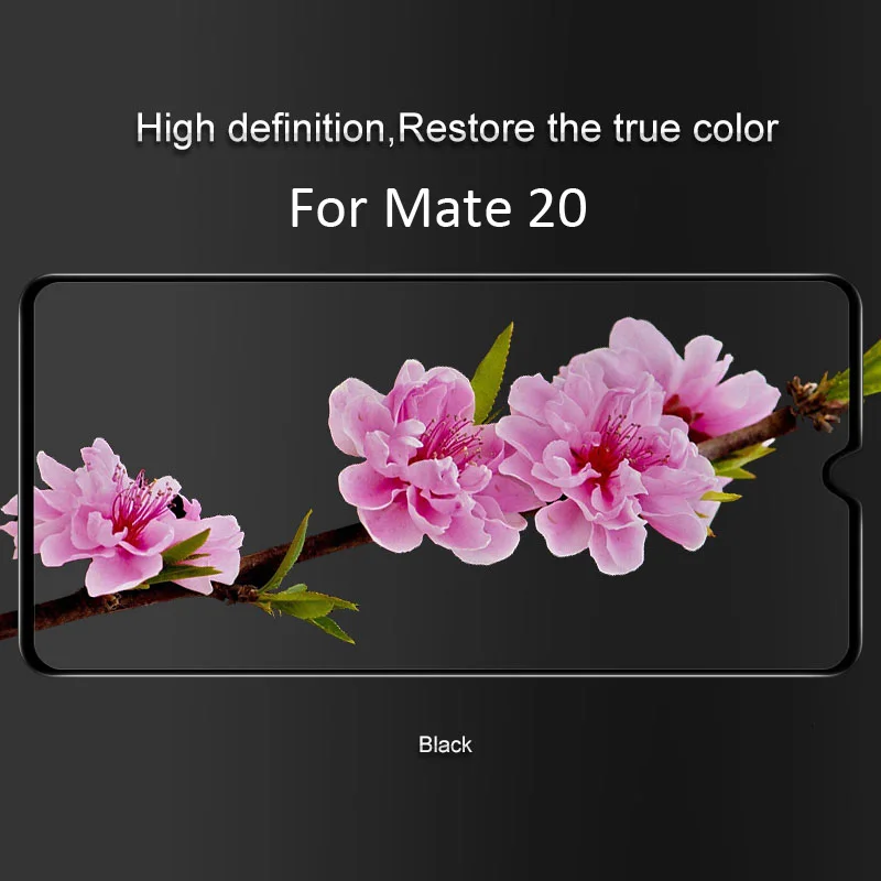2--Mate20