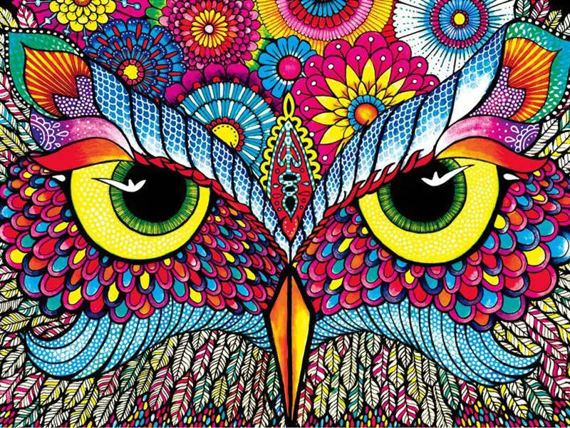 DIY 5d diamond painting cross stitch color owl diamond embroidery pattern diamond mosaic animal picture Crafts wall decoration