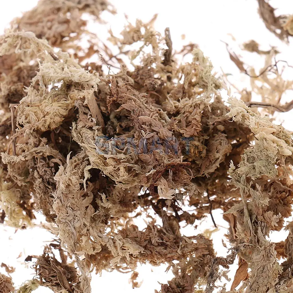 100ML/500ML Dry Grass Model Moss for Layout Terrain Vegetation Diorama Building Toy