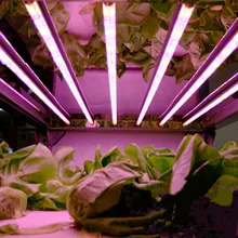 85-265 V T8 138 светодиодный свет для выращивания растений, горшков для растений Vegs, гидропонная система для выращивания/цветения, красный+ синий лампе, светодиодный садовод