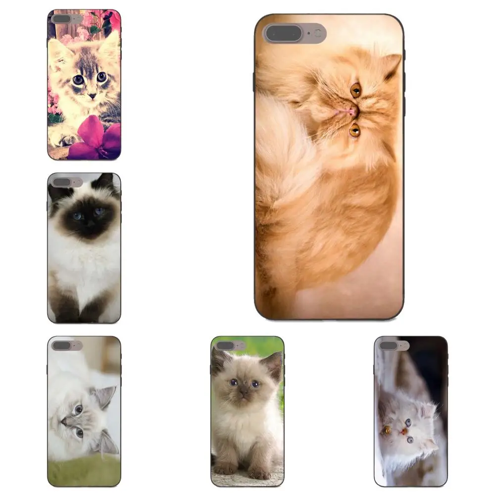 

Himalayan Cat Kitten For Xiaomi Redmi Note 2 3 4 4A 4X 5 5A 6 6A Plus Pro S2 Y2 Soft Hot Selling