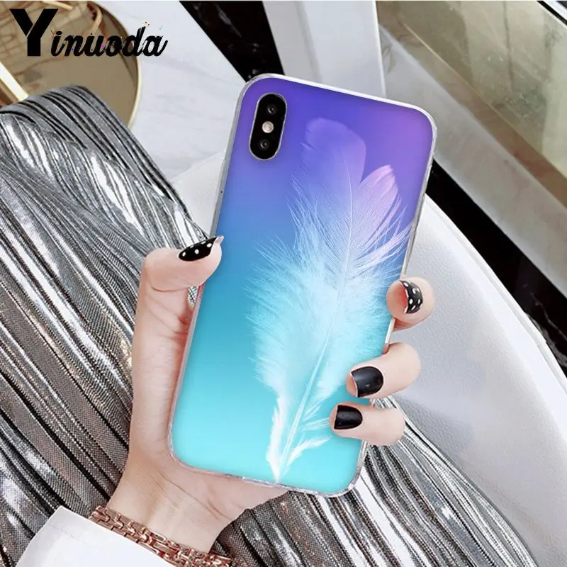 Lovely colorful swan feathers