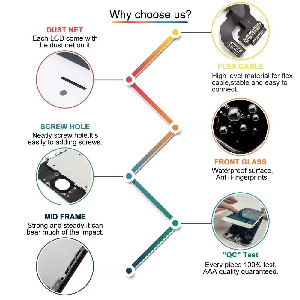 why-choose-us